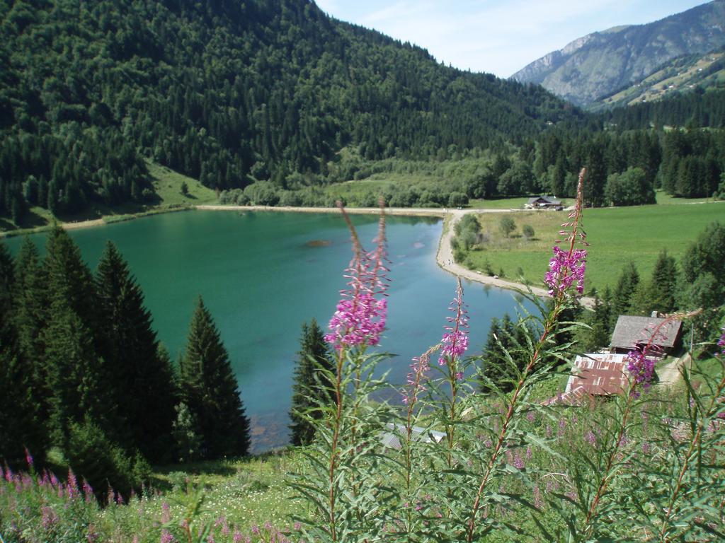 Le Clos Des Fontaines, A 5 Mn Du Lac Thonon-les-Bains Exterior foto